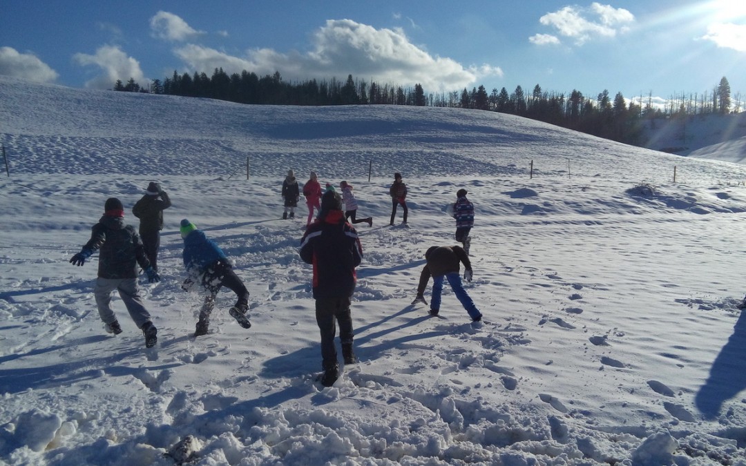 5. 2. – 7. 2. 2016 – Tabor za nadarjene, Vojsko