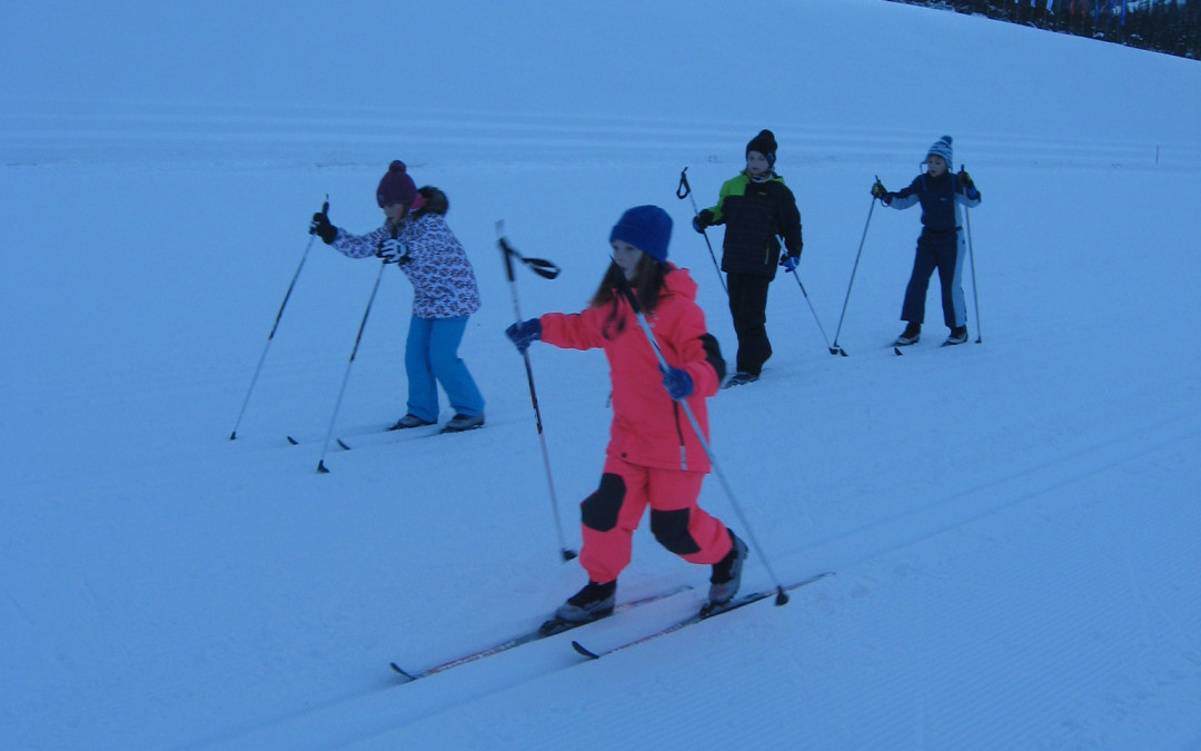 20. 1. 2017 – 1. dan Planica