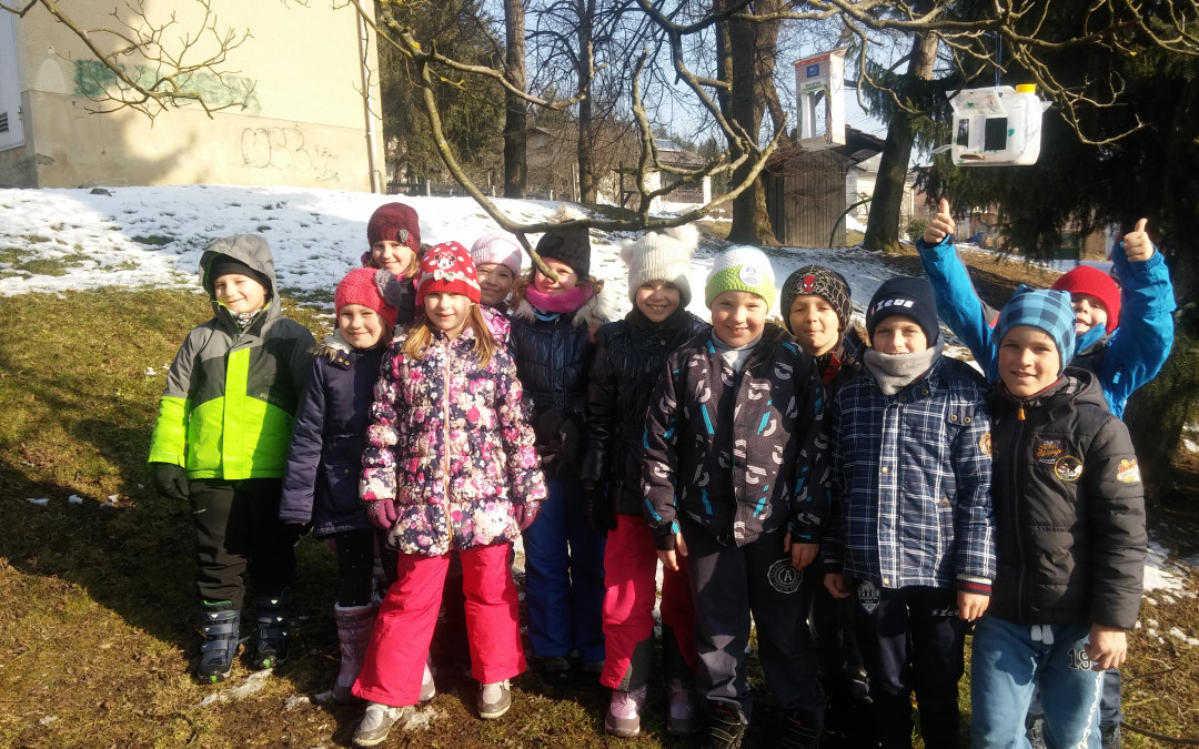 Januar, februar 2017 – Drugošolke in drugošolci imajo radi zimo