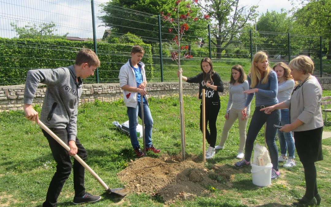 26. 4. 2017 – Eko dan, podelitev bralne značke in sprejem prvošolcev v šolsko skupnost