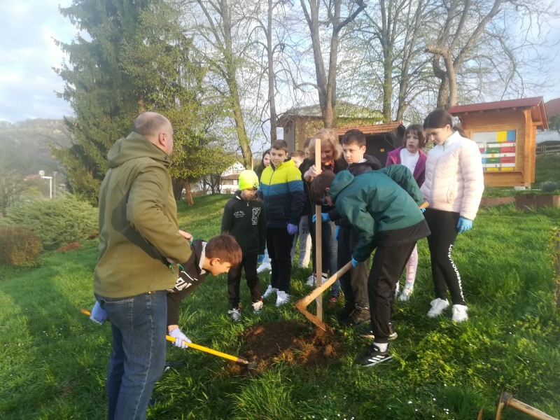 31. 3. 2023 – Pri krški šoli sadili medovita drevesa