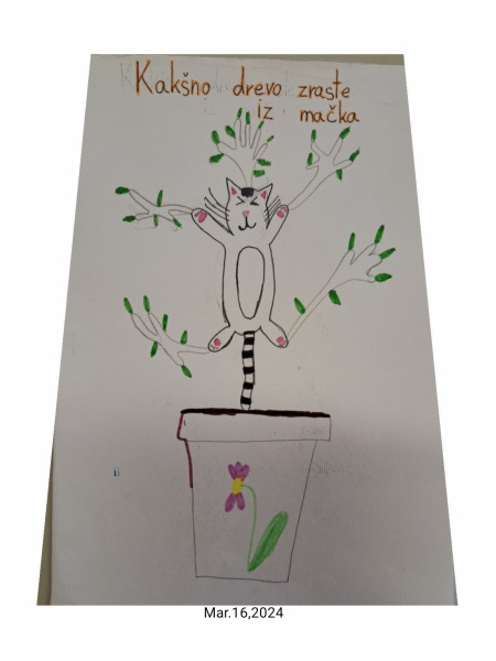 26. 4. 2024 – Kakšno drevo zraste iz mačka?