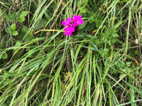 image00023