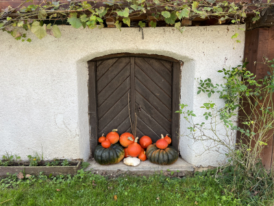 image00015