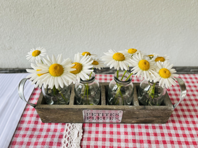 image00004